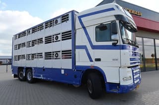 DAF XF 105-460 - 2012 - Image 4