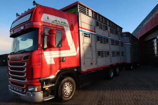 Scania R500 V8 Topline - R500 - 2006 - Pezzaioli Combi - Cattle transport - Image 2