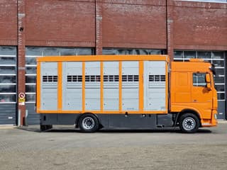DAF 530 4x2 - Livestock Menke + 2018 Menke trailer 2 deck - Water + Ventilation - Lifting roof - Image 21