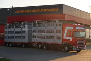 Scania R500 V8 Topline - R500 - 2006 - Pezzaioli Combi - Cattle transport - Image 3