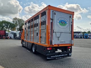 DAF 530 4x2 - Livestock Menke + 2018 Menke trailer 2 deck - Water + Ventilation - Lifting roof - Image 19