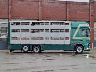DAF XF 440 2015 - SuperSpaceCab 6x2*4 - Cuppers 1-2-3 deck Livestock + Cuppers 3 deck trailer 2009 afbeelding 23