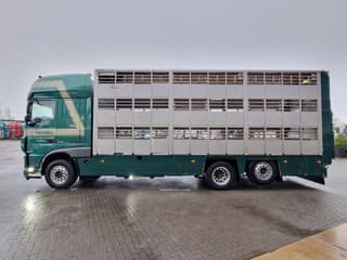 DAF XF 440 2015 - SuperSpaceCab 6x2*4 - Cuppers 1-2-3 deck Livestock + Cuppers 3 deck trailer 2009 afbeelding 19