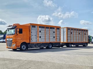 DAF 530 4x2 - Livestock Menke + 2018 Menke trailer 2 deck - Water + Ventilation - Lifting roof - Image 63