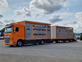 DAF 530 4x2 - Livestock Menke + 2018 Menke trailer 2 deck - Water + Ventilation - Lifting roof - Image 3