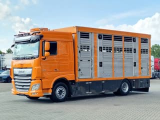 DAF 530 4x2 - Livestock Menke + 2018 Menke trailer 2 deck - Water + Ventilation - Lifting roof - Image 17