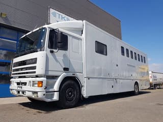 DAF 95.350 Paardenwagen met zitverblijf 7 paarden 7 horses