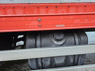 DAF No Title - Image 29