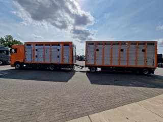 DAF 530 4x2 - Livestock Menke + 2018 Menke trailer 2 deck - Water + Ventilation - Lifting roof - Image 64