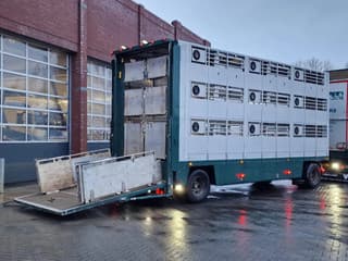 DAF XF 440 2015 - SuperSpaceCab 6x2*4 - Cuppers 1-2-3 deck Livestock + Cuppers 3 deck trailer 2009 afbeelding 57