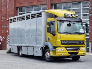 DAF LF 55 280 4x2 1 Stock livestock Cattle transport
