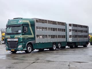 DAF XF 440 2015 - SuperSpaceCab 6x2*4 - Cuppers 1-2-3 deck Livestock + Cuppers 3 deck trailer 2009 afbeelding 4