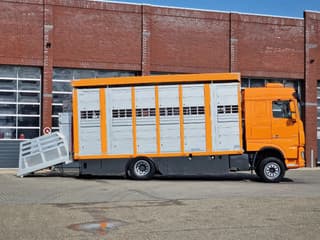 DAF 530 4x2 - Livestock Menke + 2018 Menke trailer 2 deck - Water + Ventilation - Lifting roof - Image 58