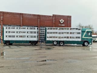 DAF XF 440 2015 - SuperSpaceCab 6x2*4 - Cuppers 1-2-3 deck Livestock + Cuppers 3 deck trailer 2009 afbeelding 11