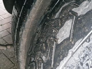 DAF XF 440 2015 - SuperSpaceCab 6x2*4 - Cuppers 1-2-3 deck Livestock + Cuppers 3 deck trailer 2009 afbeelding 84