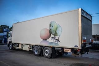 Volvo FM340+POUSSIN/CHICKEN/KUIKEN/KÛKEN - Image 4