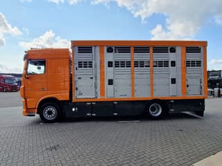 DAF 530 4x2 - Livestock Menke + 2018 Menke trailer 2 deck - Water + Ventilation - Lifting roof - Image 18