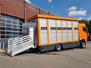 DAF 530 4x2 - Livestock Menke + 2018 Menke trailer 2 deck - Water + Ventilation - Lifting roof - Image 59