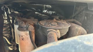 MAN No Title - Image 19