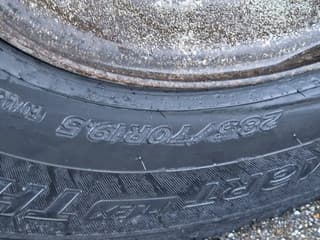 DAF XF 440 2015 - SuperSpaceCab 6x2*4 - Cuppers 1-2-3 deck Livestock + Cuppers 3 deck trailer 2009 afbeelding 87