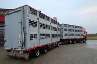 Scania R500 V8 Topline - R500 - 2006 - Pezzaioli Combi - Cattle transport - Image 4