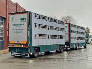 DAF XF 440 2015 - SuperSpaceCab 6x2*4 - Cuppers 1-2-3 deck Livestock + Cuppers 3 deck trailer 2009 afbeelding 9