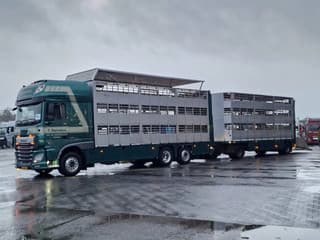 DAF XF 440 2015 - SuperSpaceCab 6x2*4 - Cuppers 1-2-3 deck Livestock + Cuppers 3 deck trailer 2009 afbeelding 52