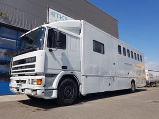 DAF 95.350 Paardenwagen met zitverblijf 7 paarden 7 horses
