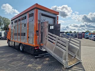 DAF 530 4x2 - Livestock Menke + 2018 Menke trailer 2 deck - Water + Ventilation - Lifting roof - Image 30