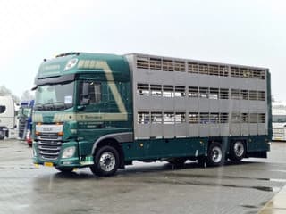 DAF XF 440 2015 - SuperSpaceCab 6x2*4 - Cuppers 1-2-3 deck Livestock + Cuppers 3 deck trailer 2009 afbeelding 18