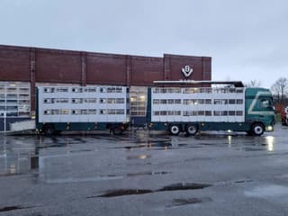 DAF XF 440 2015 - SuperSpaceCab 6x2*4 - Cuppers 1-2-3 deck Livestock + Cuppers 3 deck trailer 2009 afbeelding 53