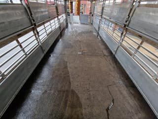 DAF XF 440 2015 - SuperSpaceCab 6x2*4 - Cuppers 1-2-3 deck Livestock + Cuppers 3 deck trailer 2009 afbeelding 48