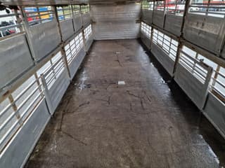 DAF XF 440 2015 - SuperSpaceCab 6x2*4 - Cuppers 1-2-3 deck Livestock + Cuppers 3 deck trailer 2009 afbeelding 47