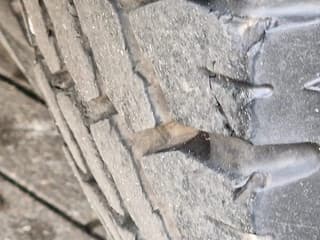 MAN TGA 2008 - 18.360 4x2 - Horse truck + full camper - 4 seats - Loadramp - Automatic gearbox afbeelding 56