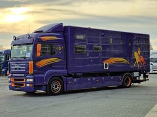 MAN TGA 2008 - 18.360 4x2 - Horse truck + full camper - 4 seats - Loadramp - Automatic gearbox afbeelding 4